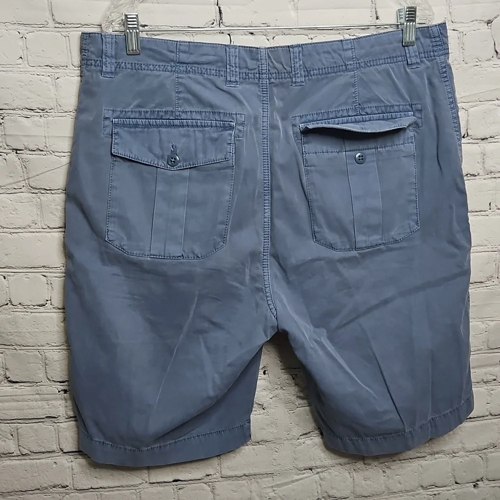Daniel Cremieux Gray and Light Blue Flat Front Shorts Size 36